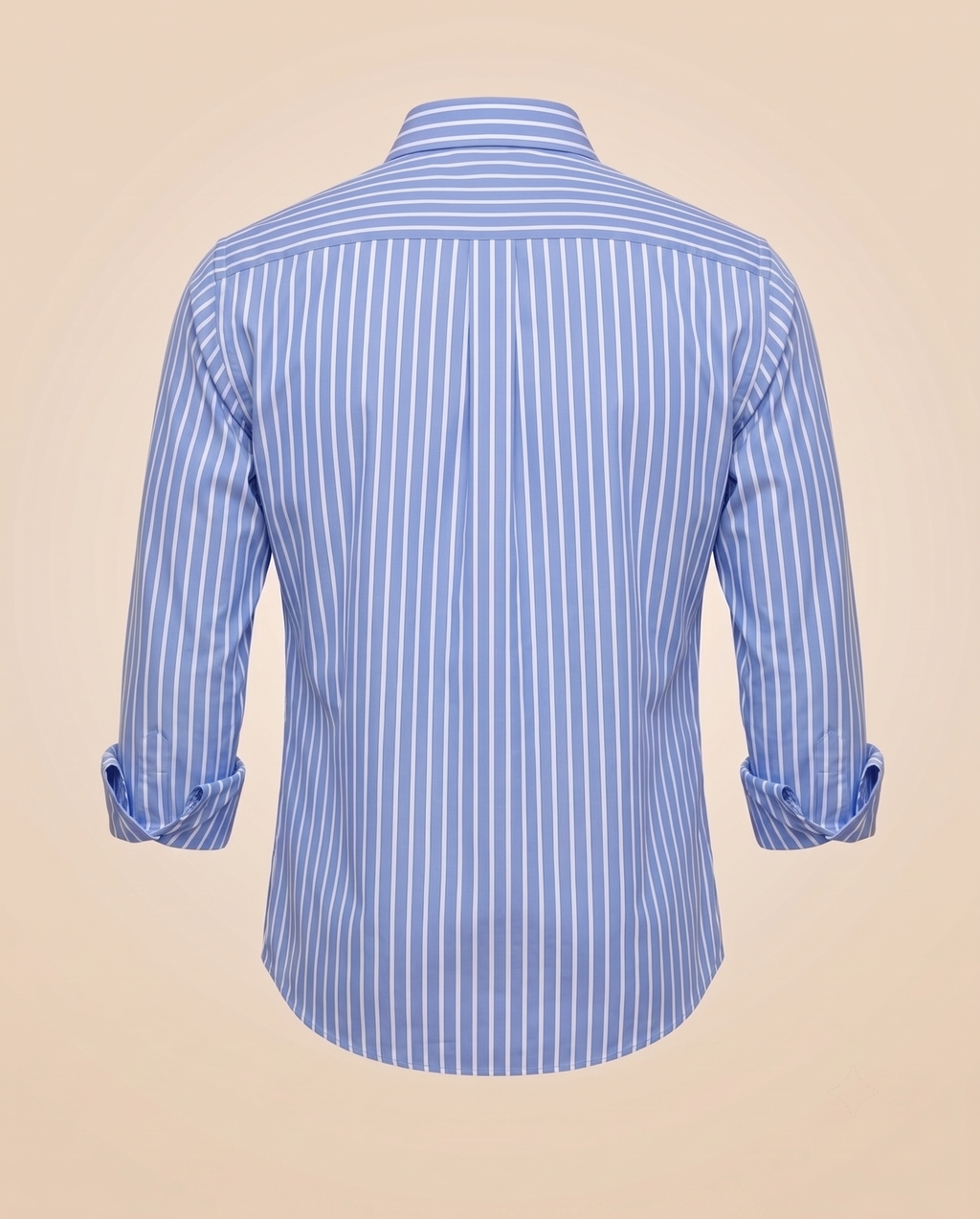 Camicia a righe larghe blu – retro