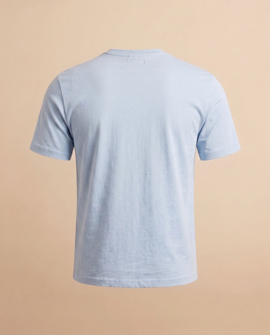 Sky-blue cotton T-shirt – back